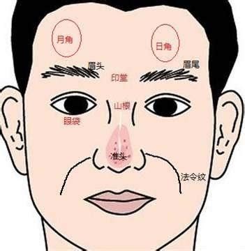 露額頭好運|面相看哪種髮型更旺運？